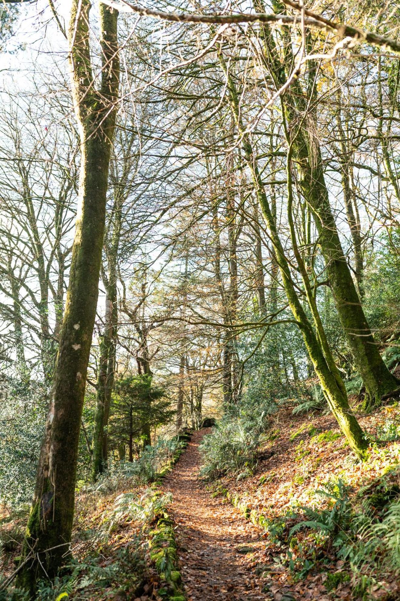 Lancrigg Hotel กราสเมียร์ ภายนอก รูปภาพ