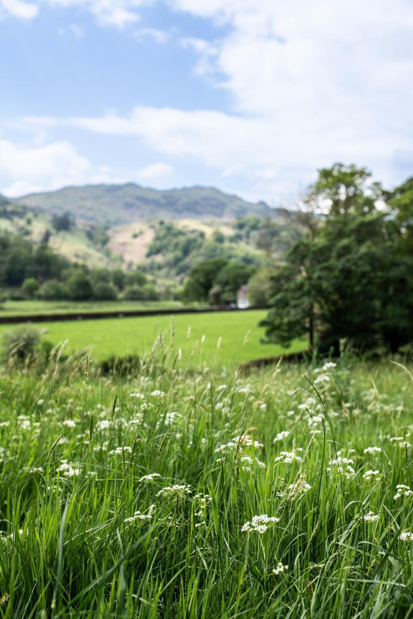 Lancrigg Hotel กราสเมียร์ ภายนอก รูปภาพ